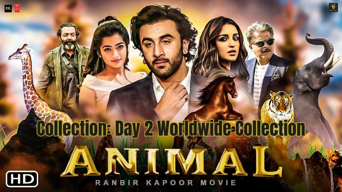 Animal - New Hindi Movie Collection: Day 2 Worldwide Collection